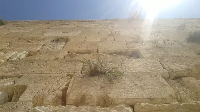 ירושלים 7 - הכותל המערבי ירושלים 7 - הכותל המערבי