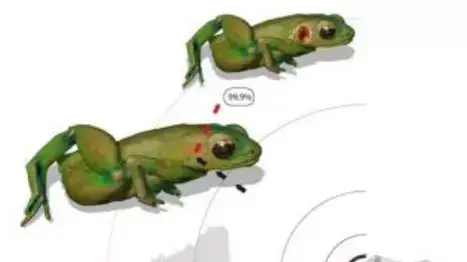 הצפרדע ששומעת מהפה