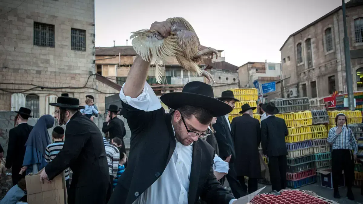 חרדים עורכים תרנגול כפרות בעיר ירושלים לקראת יום הכיפורים