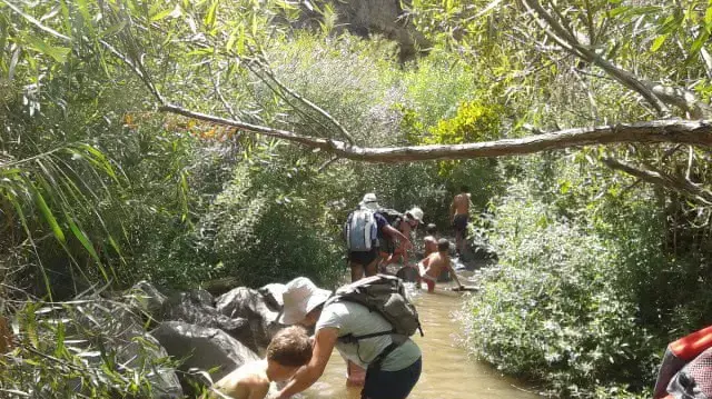 טיילים בנחל יהודיה טיילים בנחל יהודיה