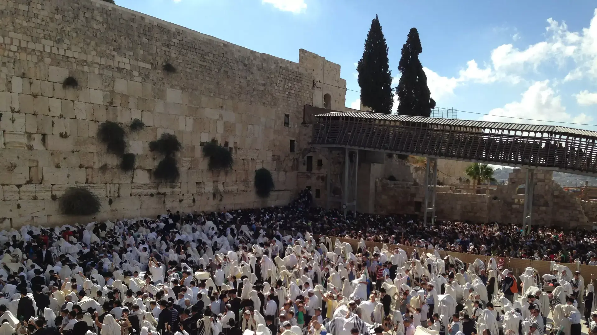 ברכת כהנים תשע"ד ברכת כהנים תשע"ד