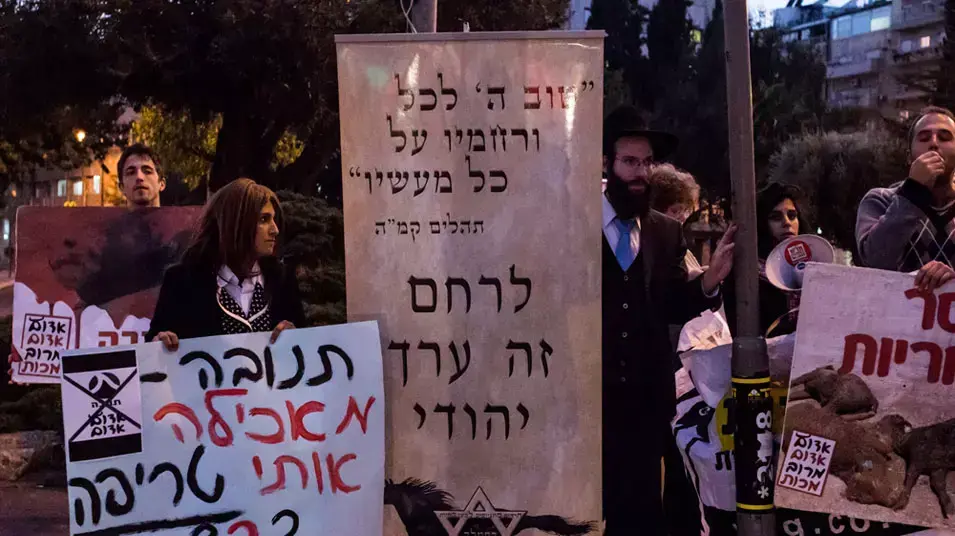 הפגנה לסגירת משחטות תנובה בעקבות התחקיר בכלבוטק על אדום אדום הפגנה לסגירת משחטות תנובה בעקבות התחקיר בכלבוטק על אדום אדום
