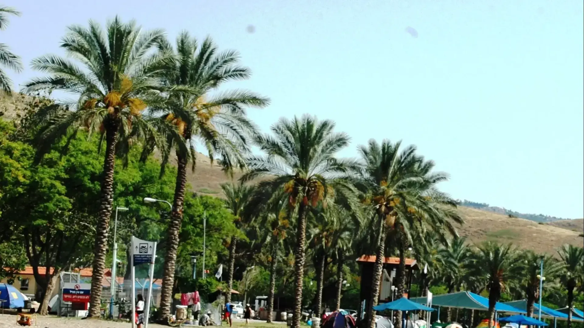 חוף חלוקים בכנרת חוף חלוקים בכנרת