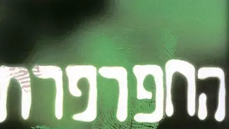 החפרפרת החפרפרת