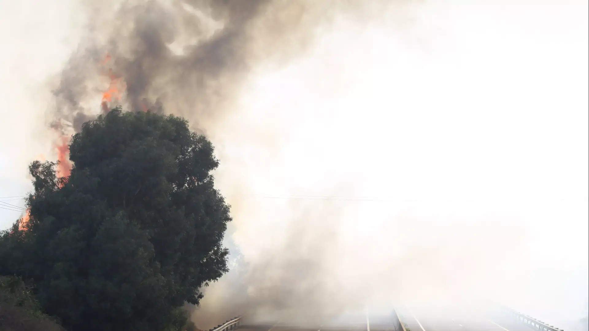שריפה בכביש החוף בין מחלף אולגה למחלף נתניה ליד בית חירות. 9 באוקטובר 2013 שריפה בכביש החוף בין מחלף אולגה למחלף נתניה ליד בית חירות. 9 באוקטובר 2013