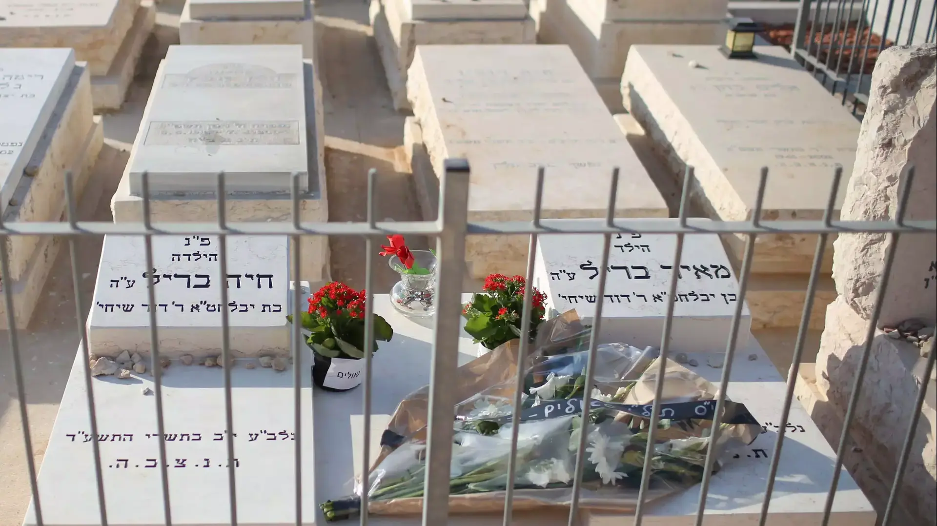 קברם של מאיר וחיה בריל שנצחו ע"י אמם. הר המנוחות אוקטובר 2013 קברם של מאיר וחיה בריל שנצחו ע"י אמם. הר המנוחות אוקטובר 2013
