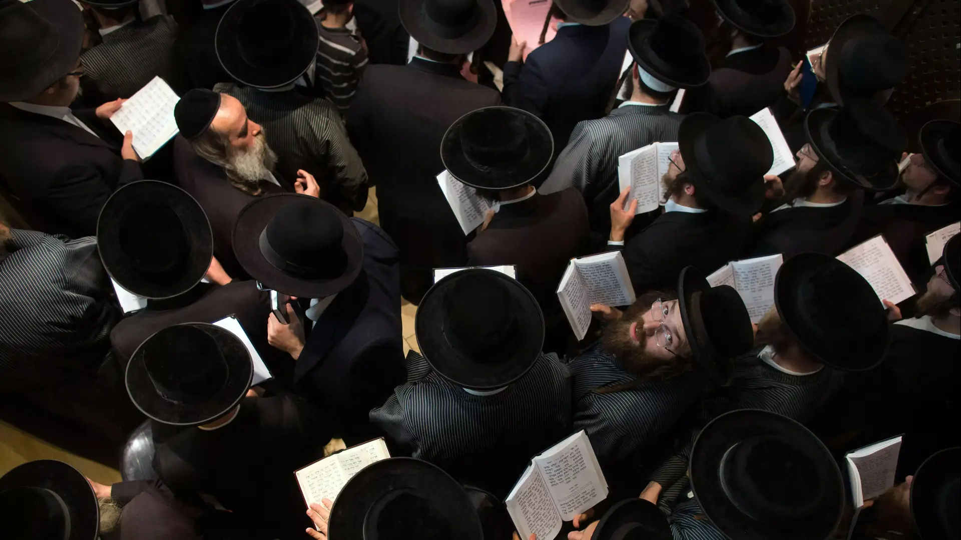 תמונות השבוע 19-13 באוקטובר 2013