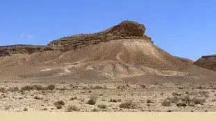הר כרכום בנגב