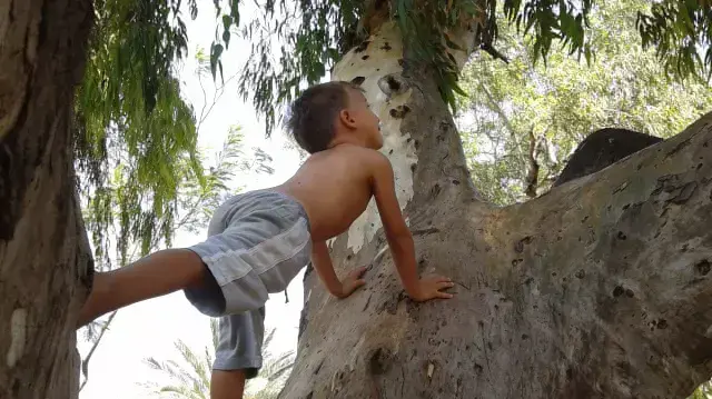 חיים של אבא חיים של אבא