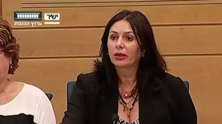 ועדת הפנים של הכנסת - שמעון גפסו
