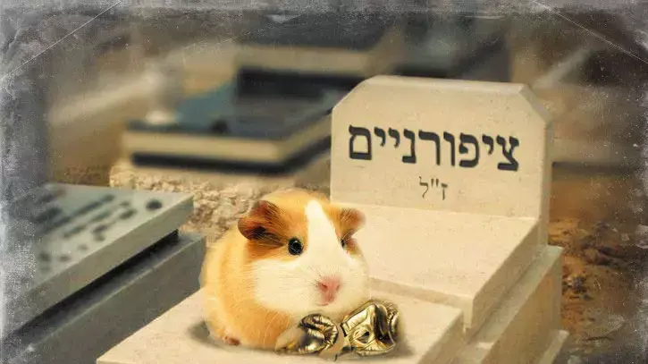 הרב מצליח הרב מצליח