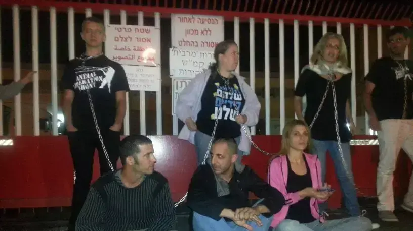 פעילים למען בעלי חיים חוסמים בגופם את כניסתם של תרנגולות לשחיטה במשחטת זוגלובק שבשלומי, נובמבר 2013 פעילים למען בעלי חיים חוסמים בגופם את כניסתם של תרנגולות לשחיטה במשחטת זוגלובק שבשלומי, נובמבר 2013