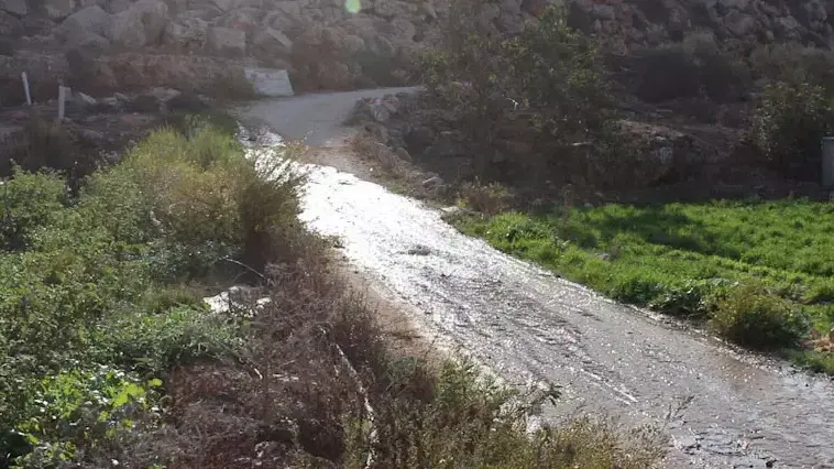 כמויות אדירות של מיי ביוב נשפכים מבית"ר עילית  לשדות פלסטינים בוואדי פוכין, נובמבר 2013