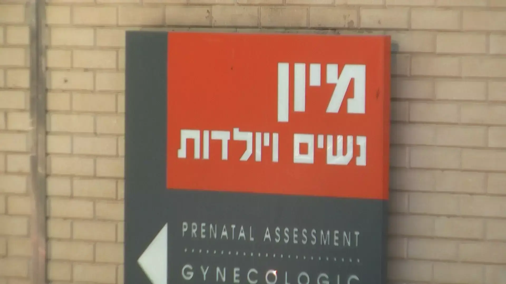 מחלקת יולדות