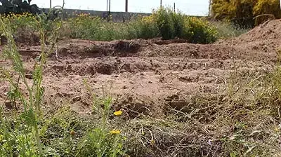 צהל חשף מנהרה בעלת דפנות עץ בציר פילדלפי צהל חשף מנהרה בעלת דפנות עץ בציר פילדלפי