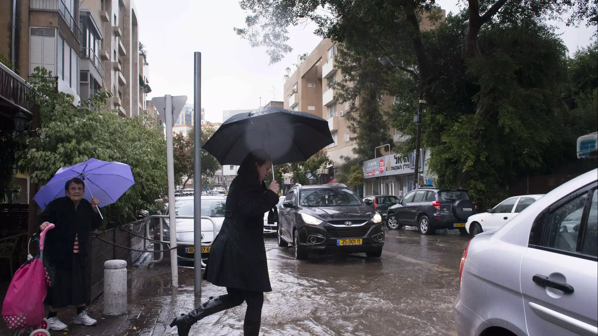 חורף בגבעתיים, דצמבר 2013 חורף בגבעתיים, דצמבר 2013