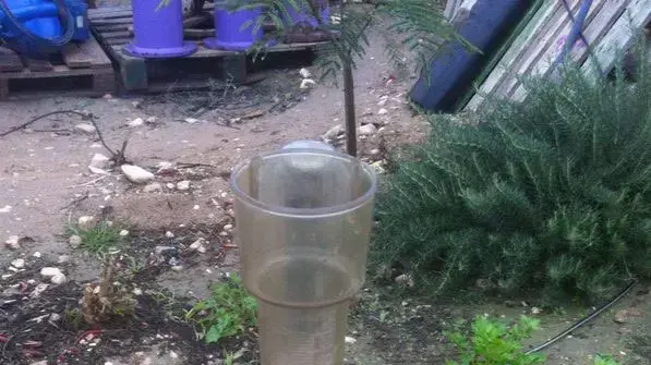 מד הגשם מתחיל להתמלא במועצה האזורית מרחבים שבמערב הנגב מד הגשם מתחיל להתמלא במועצה האזורית מרחבים שבמערב הנגב