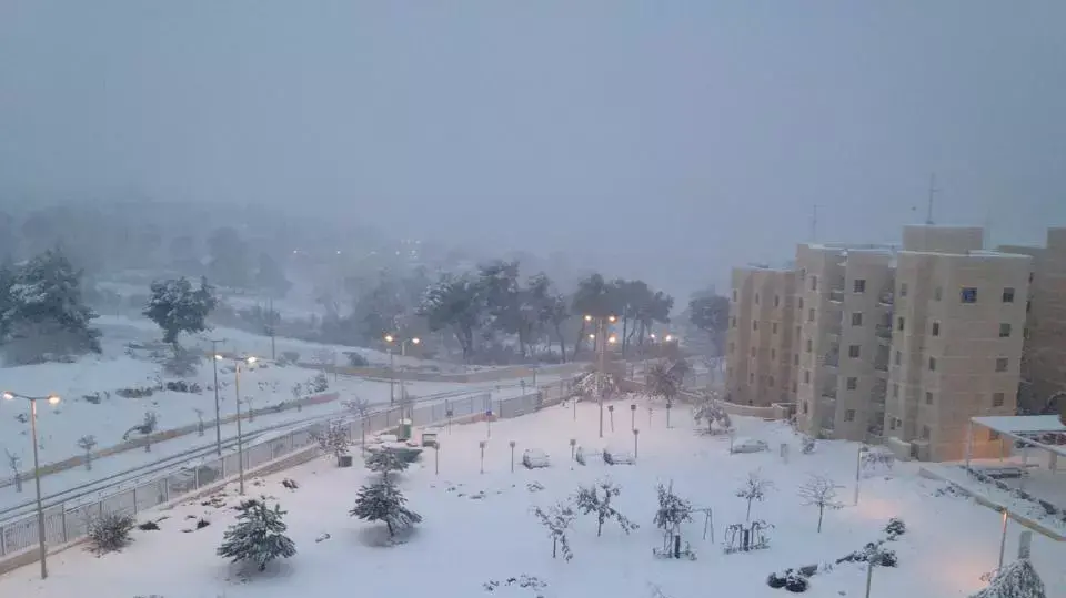 שלג יורד בגבעה הצרפתית ירושלים שלג יורד בגבעה הצרפתית ירושלים