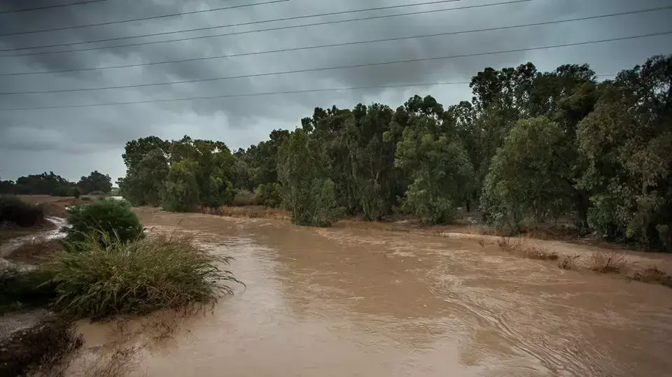 זרימת מים בנחל שורק זרימת מים בנחל שורק