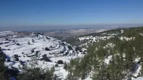 קיבוץ כפר עציון, עדיין נצורים , הבוקר 2013 קיבוץ כפר עציון, עדיין נצורים , הבוקר 2013