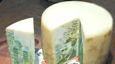 אילוסטרציה שבועות כסף גבינה חלב