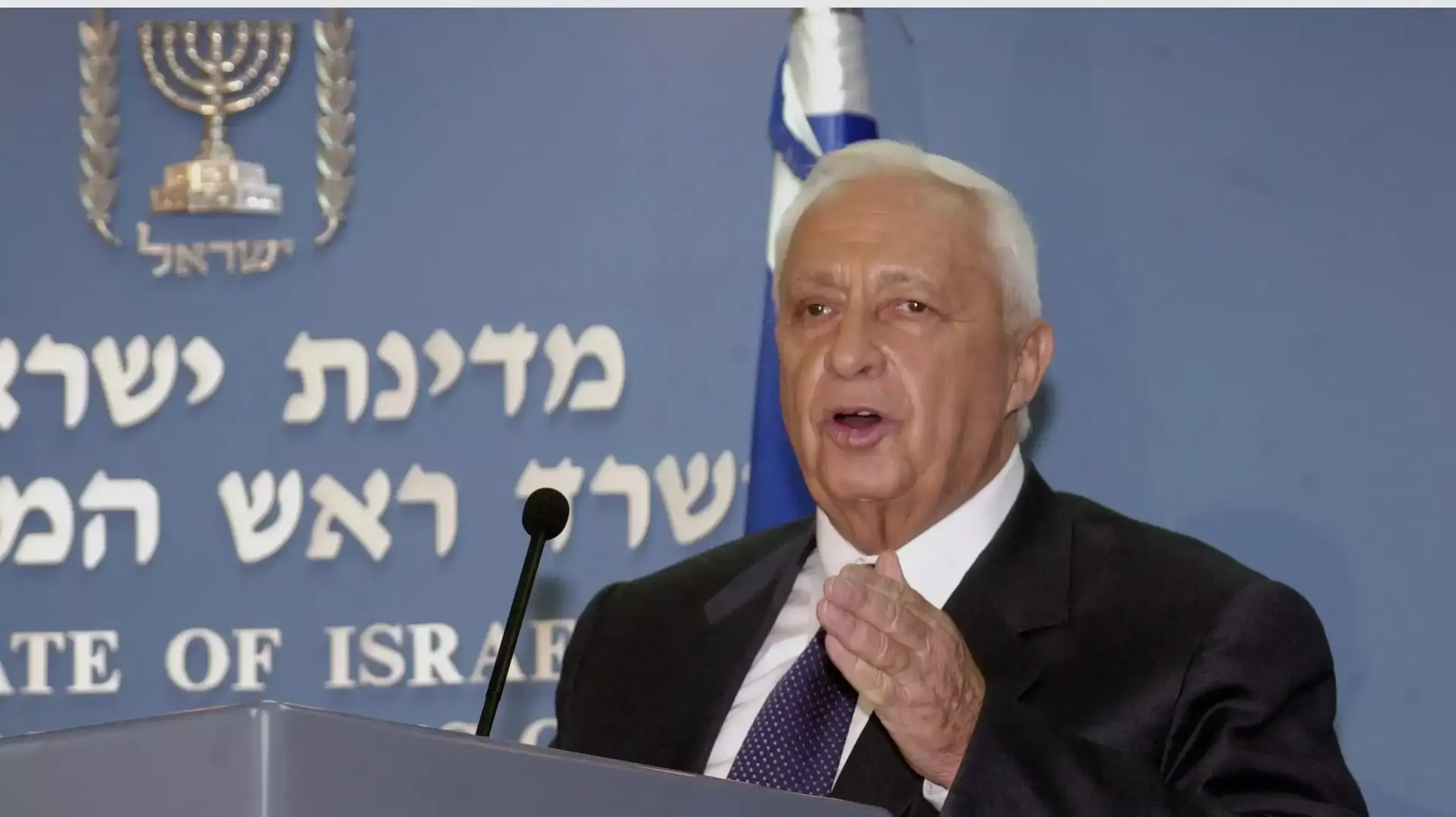 ראש הממשלה לשעבר אריאל שרון. ינואר 2014 ראש הממשלה לשעבר אריאל שרון. ינואר 2014
