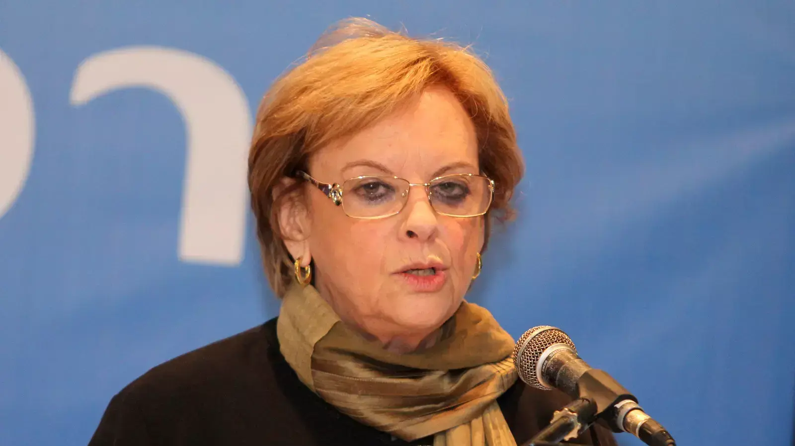 דורית ביניש, ינואר 2014