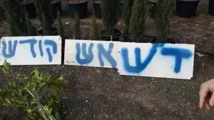 עצים שנכרתו במשתלה ליד כפר קאסם לכאורה כפעולת "תג מחיר", 10 בינואר 2013