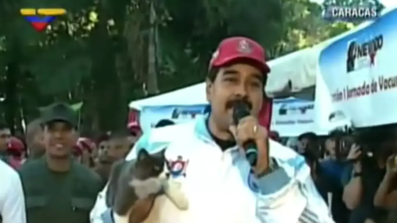 נשיא ונצואלה ניקולס מדורו עם החתול "הוגו" נשיא ונצואלה ניקולס מדורו עם החתול "הוגו"