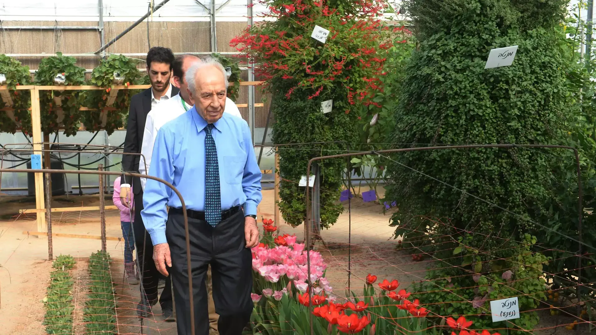 נשיא המדינה, שמעון פרס, פתח היום את התערוכה החקלאית וצפה בפיתוחים חקלאיים, ינואר 2014 נשיא המדינה, שמעון פרס, פתח היום את התערוכה החקלאית וצפה בפיתוחים חקלאיים, ינואר 2014