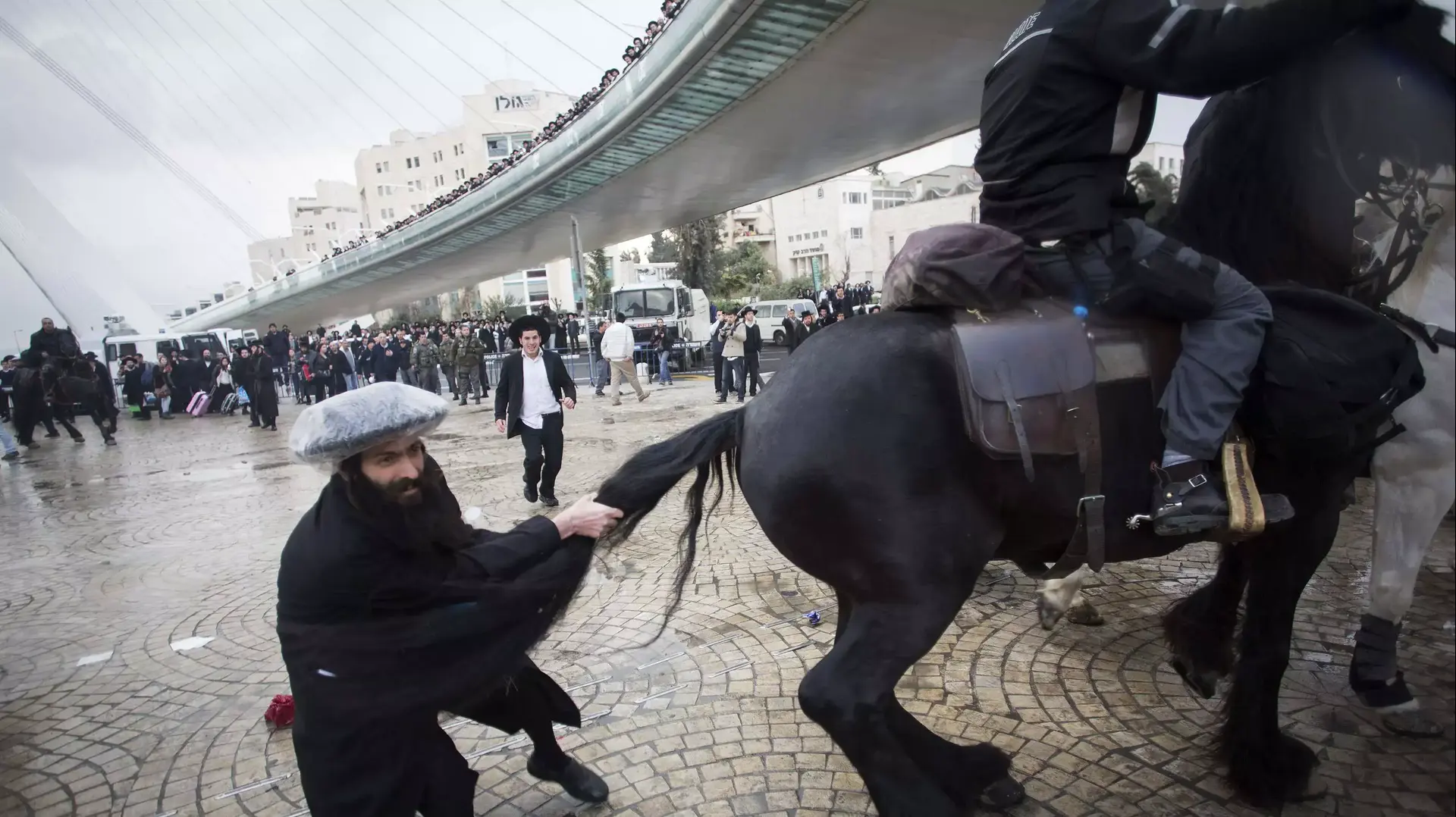 חרדי מושך בזנב של סוס משטרה, בהפגנה בירושלים נגד חוק הגיוס. פברואר 2014 חרדי מושך בזנב של סוס משטרה, בהפגנה בירושלים נגד חוק הגיוס. פברואר 2014
