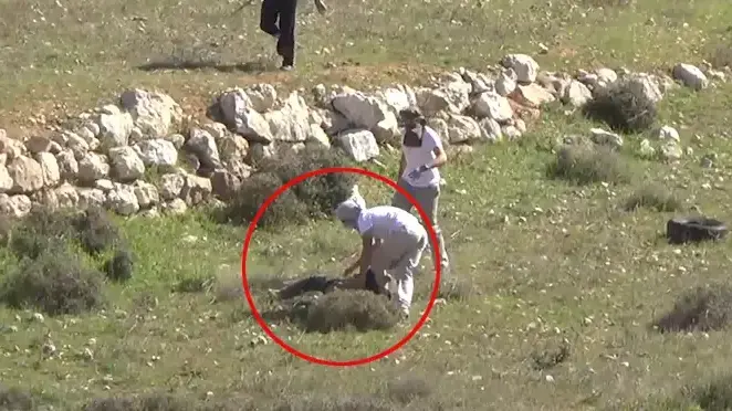 תיעוד: פעילי שמאל מוכים ליד ההתנחלות אשתמוע