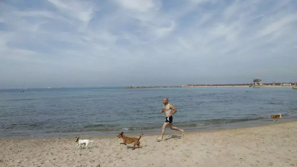 רוחצים בחוף הים בתל אביב רוחצים בחוף הים בתל אביב