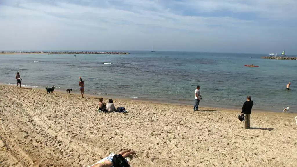 רוחצים בחוף הים בתל אביב רוחצים בחוף הים בתל אביב