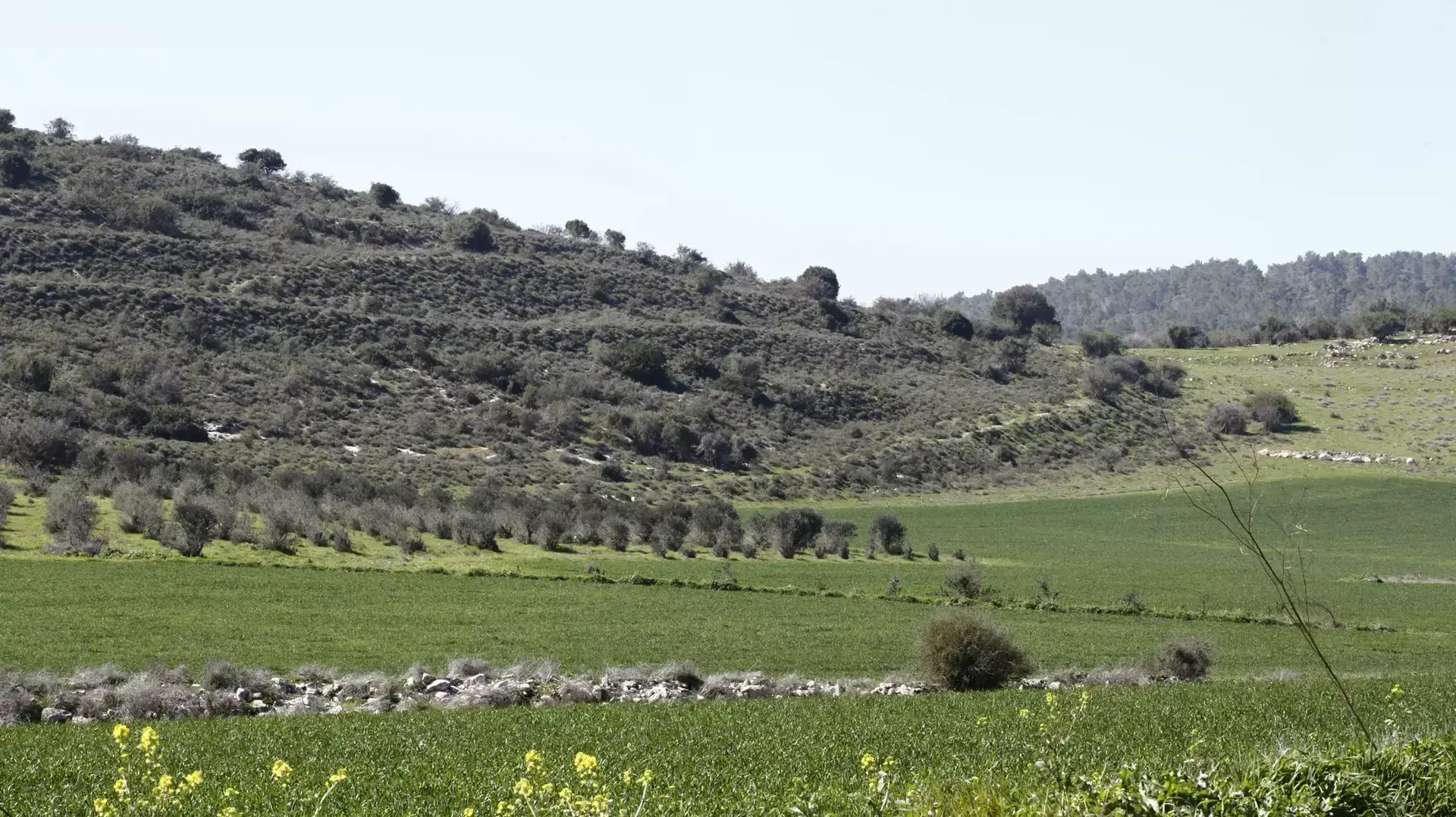 חוות עדולם חוות עדולם
