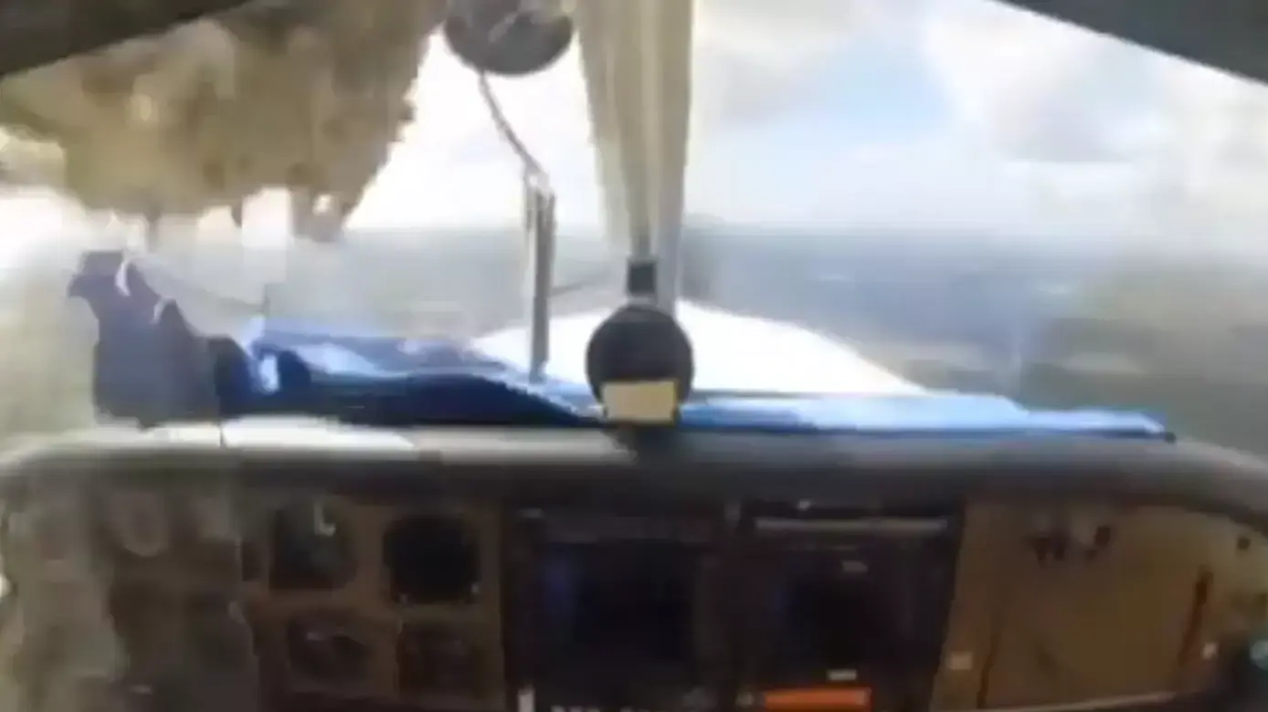 ציפור מתרסקת אל תוך שמשה של מטוס ציפור מתרסקת אל תוך שמשה של מטוס