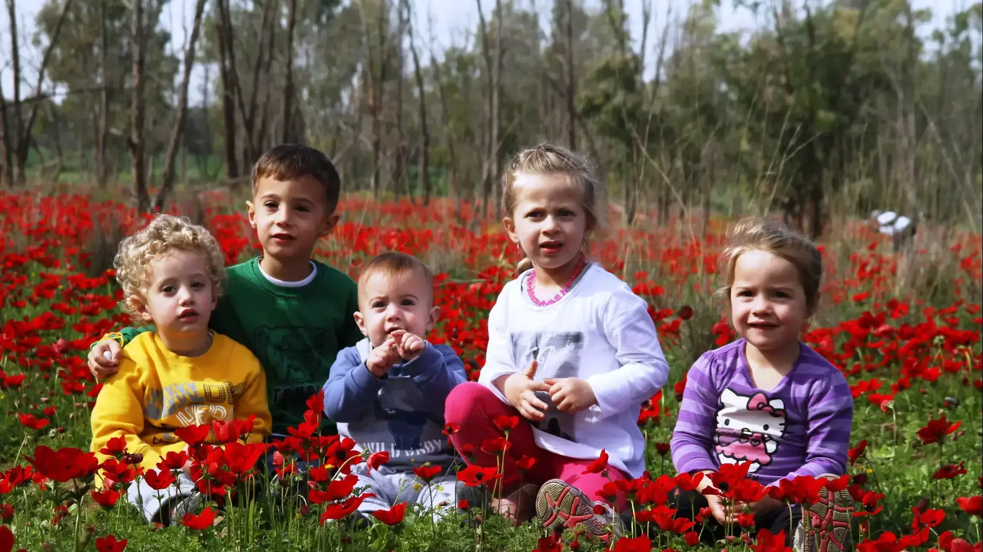 ילדים קטנים בשדה כלניות ילדים קטנים בשדה כלניות
