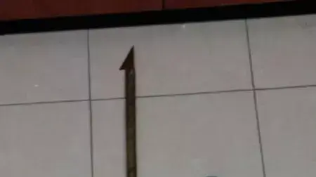 כלי הנשק שנמצאו אצל הצעירים שפתחו בירי במועדון לילה לולה שליד קדימה כלי הנשק שנמצאו אצל הצעירים שפתחו בירי במועדון לילה לולה שליד קדימה