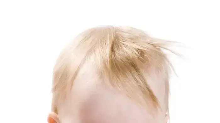 אילוסטרציה אילוסטרציה