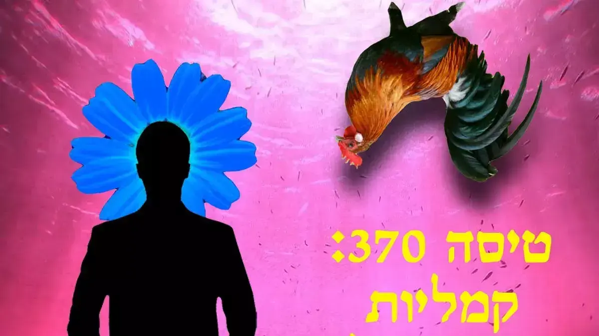 טיסה 370 אילוסטרציה תרבות טיסה 370 אילוסטרציה תרבות