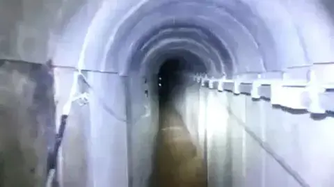 נחשפה מנהרת טרור מעזה, מרץ 2014