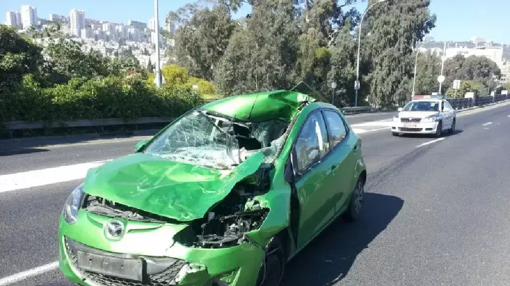 נהג מכונית התנגש בפרה באזור חיפה, מצבו קשה נהג מכונית התנגש בפרה באזור חיפה, מצבו קשה