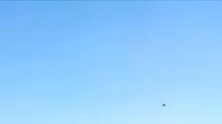 תיעוד: תג מחיר במטע זיתים סמוך להתנחלות עלי