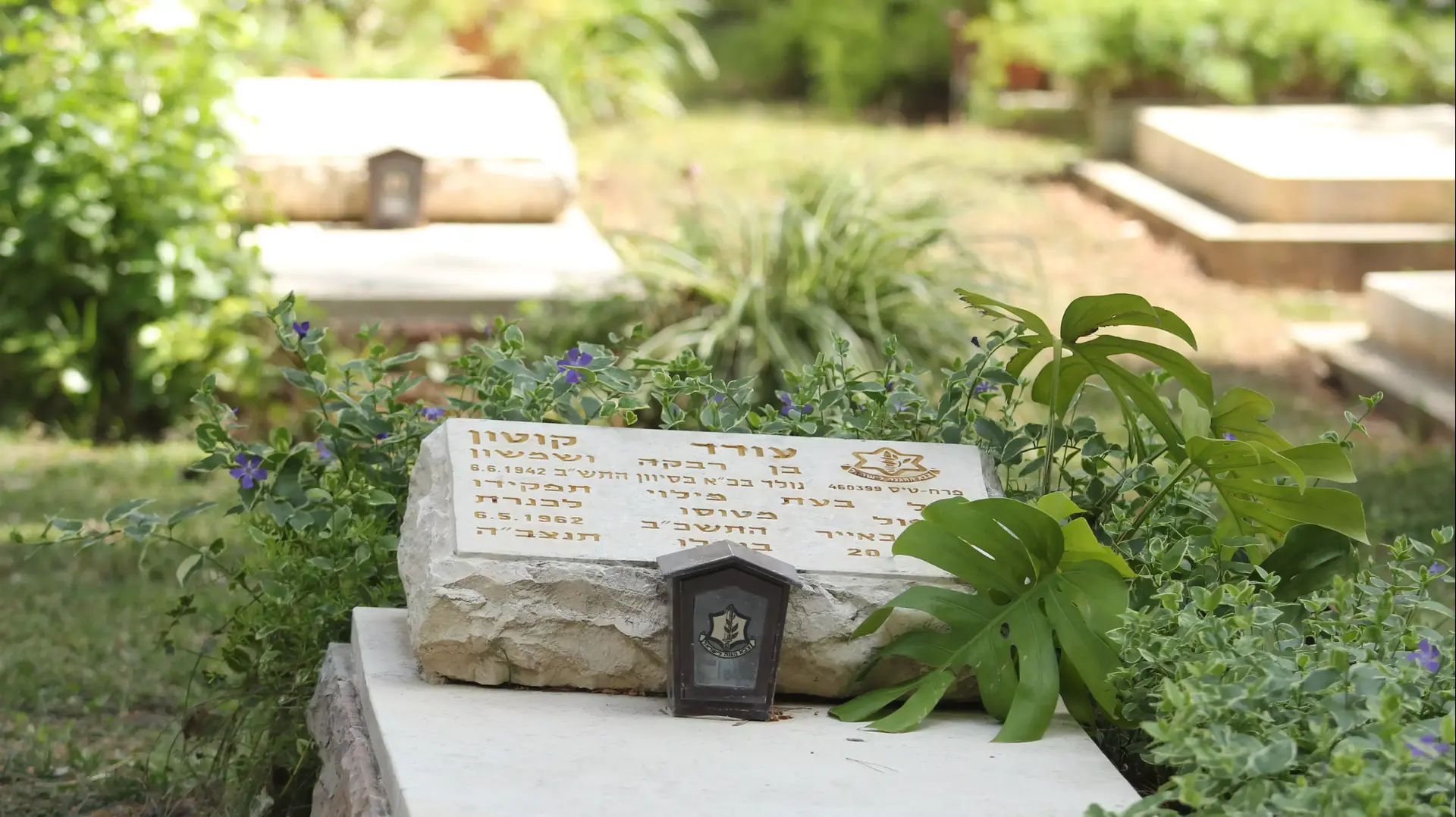 קברו של עודד קוטון בבית העלמין דפנה. אפריל 2014