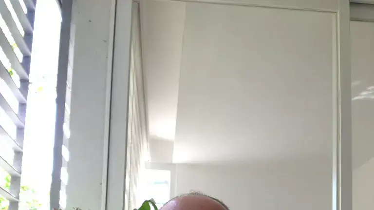 גל זייד גל זייד