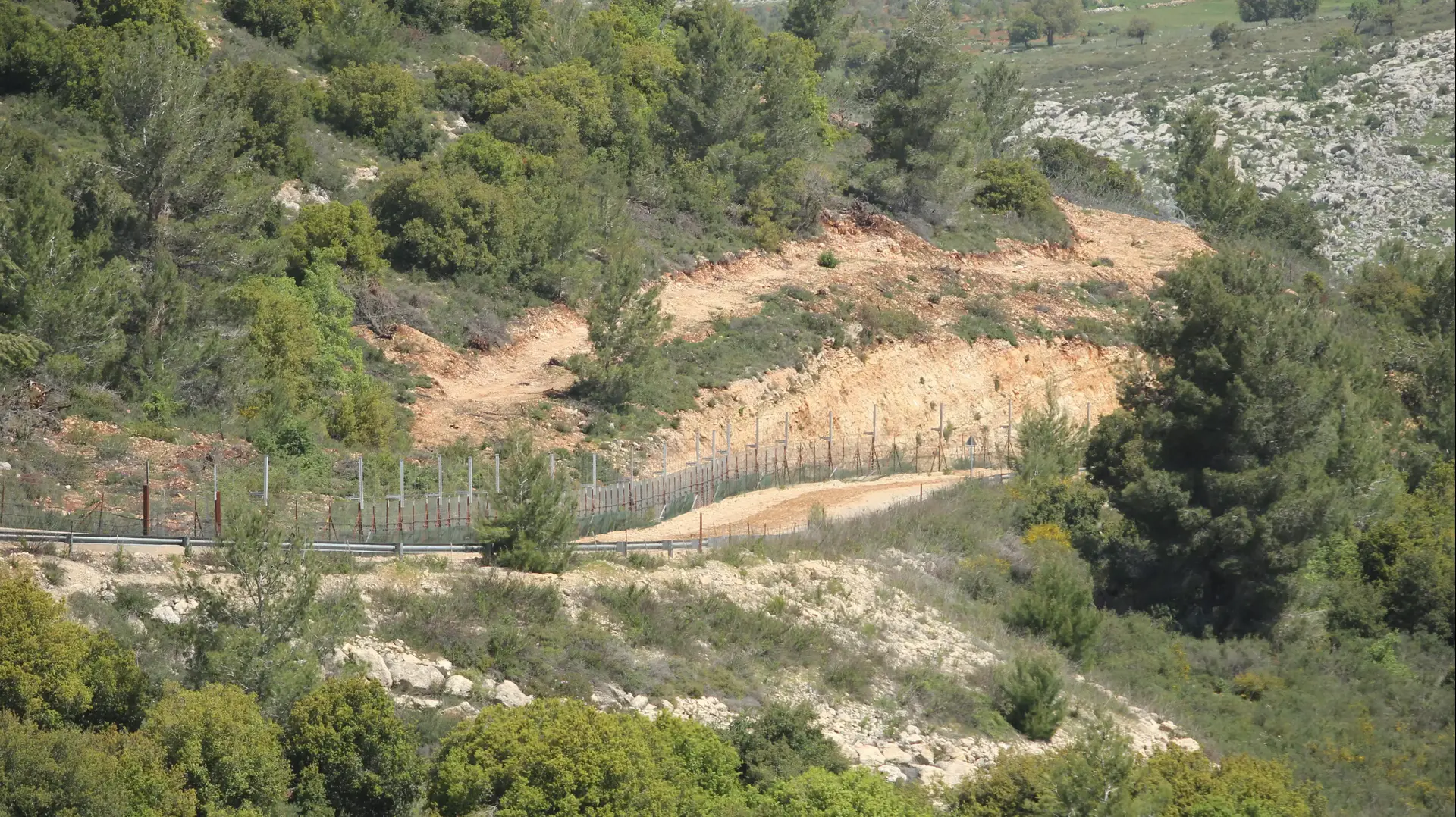 שיחים הגדלים ליד גדר גבול ישראל-לבנון. אפריל 2014 שיחים הגדלים ליד גדר גבול ישראל-לבנון. אפריל 2014