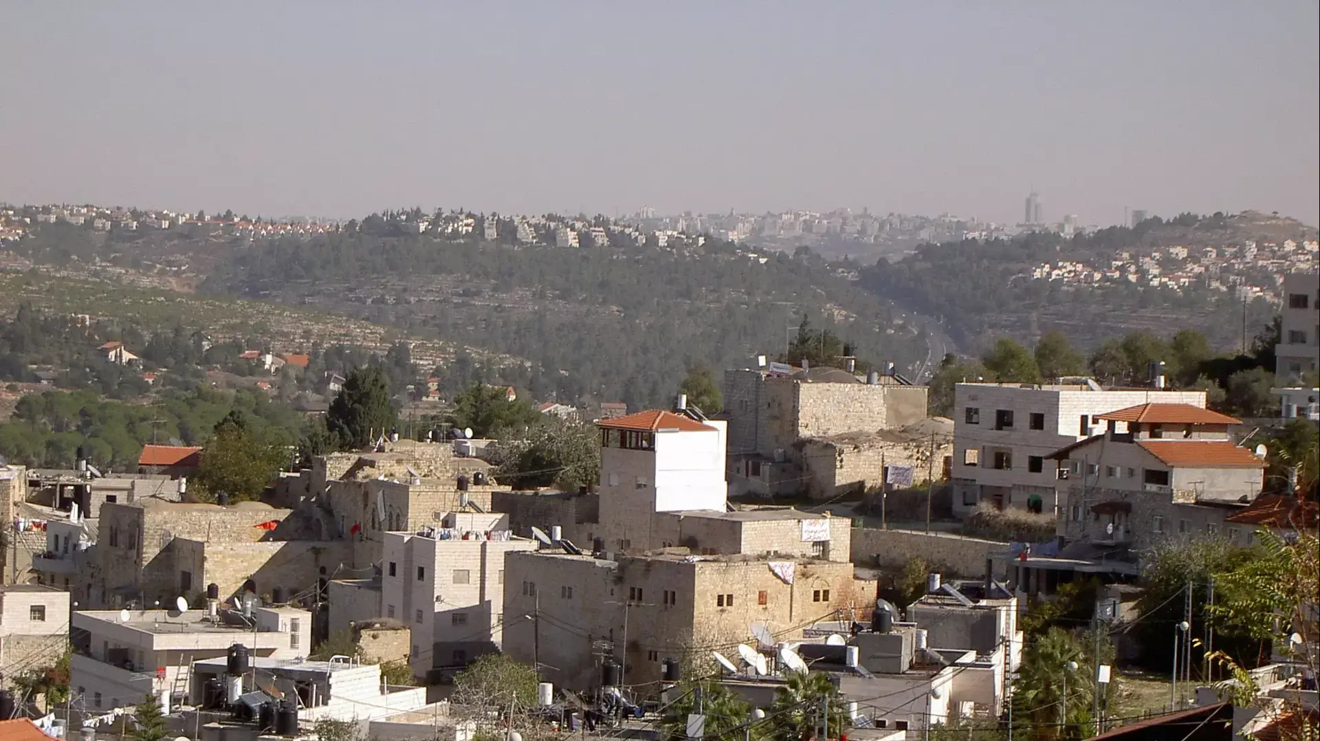 אבו גוש אבו גוש