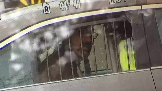 החשוד בירי במרכז הקהילתי בקנזס-סיטי, ארצות הברית החשוד בירי במרכז הקהילתי בקנזס-סיטי, ארצות הברית
