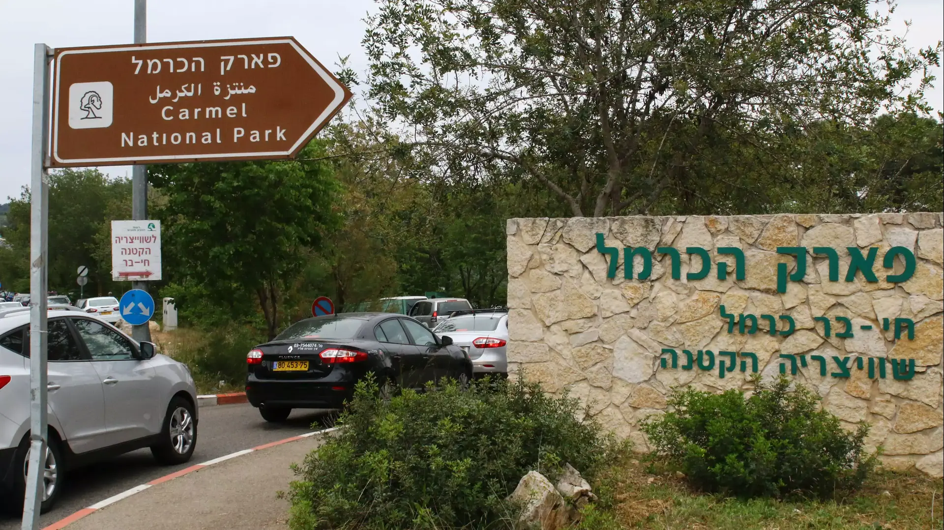 מטיילים בחג הפסח באזור הכרמל. 15 באפריל 2014 מטיילים בחג הפסח באזור הכרמל. 15 באפריל 2014