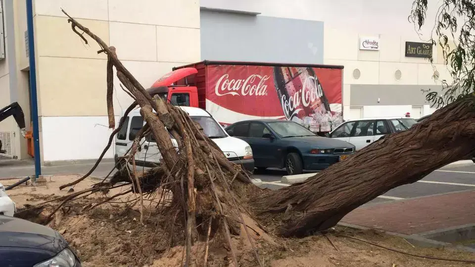 עצים קרסו בעקבות רוחות חזקות באילת, 20 באפריל 2014 עצים קרסו בעקבות רוחות חזקות באילת, 20 באפריל 2014